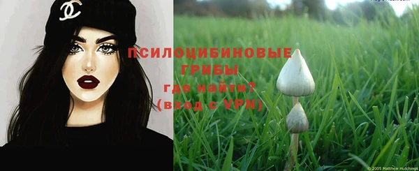 ECSTASY Михайлов