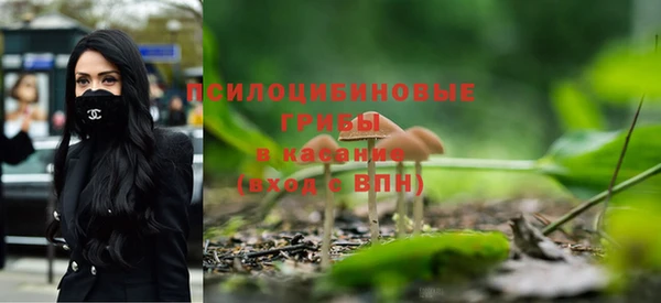 гидропоника Михайловск