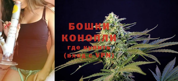 ECSTASY Михайлов