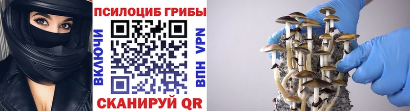 Псилоцибиновые грибы мицелий  Электроугли 
